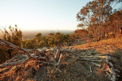 Chick Hill Walk - C Tourism 0
