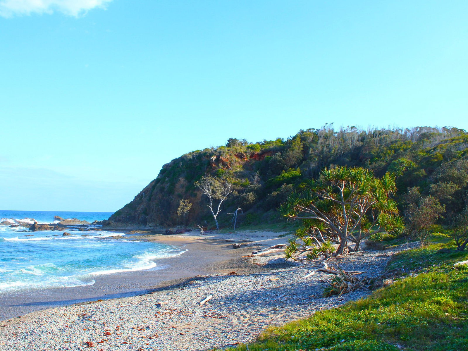 The Sandon NSW C Tourism