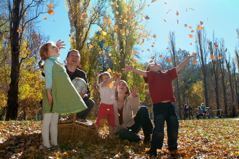 Cotter Avenue Recreation Area - C Tourism 1