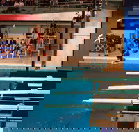 Dive Into History at Sydney Olympic Park Aquatic Centre - C Tourism