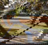 Europa Anchor - C Tourism