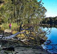 Five Islands Walking Track - C Tourism