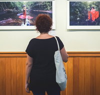 Fox Photo Den - C Tourism
