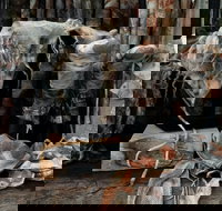 Geckostrands Textile Artist - C Tourism