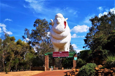 Giant Ram Park - C Tourism 0
