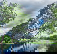 Gold Coast Regional Botanic Gardens - C Tourism