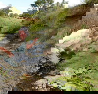 Gold Panning Deep Creek - C Tourism