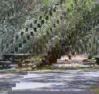 Goonoowigall State Conservation Area - C Tourism