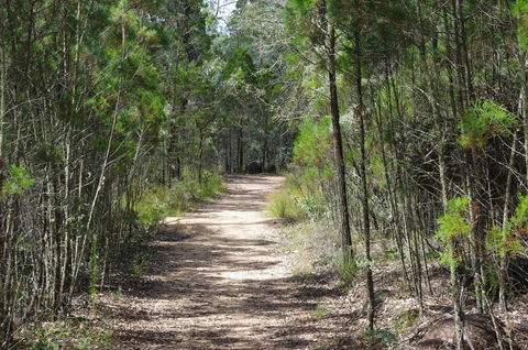 Goonoowigall State Conservation Area - C Tourism 1