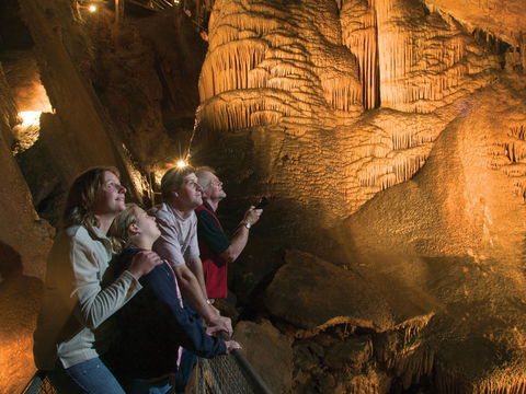 Gunns Plains Caves - C Tourism 0