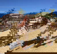 Gundersen Reserve - C Tourism