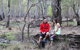 Gunbower Island Forest Drive - thumb 0