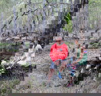 Gunbower Island Forest Drive - C Tourism