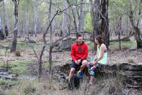 Gunbower Island Forest Drive - C Tourism 0