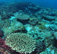 Hanging Rock Dive Site - C Tourism