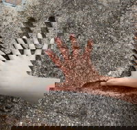 Hands of Fame Park - C Tourism