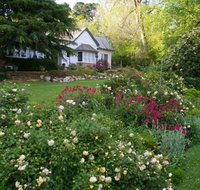 Heysen - The Cedars - C Tourism