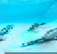 Jurien Bay - C Tourism