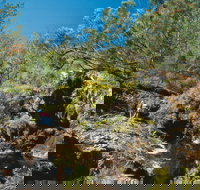 Kroombit Tops National Park - C Tourism