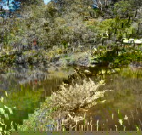 Kurth Kiln Regional Park - C Tourism