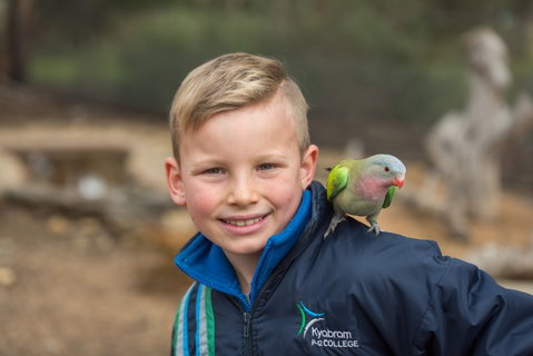 Kyabram Fauna Park - C Tourism 2
