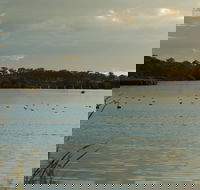 Lake Inverell Reserve - C Tourism