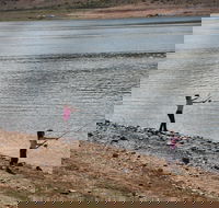 Lake Wyangala - C Tourism
