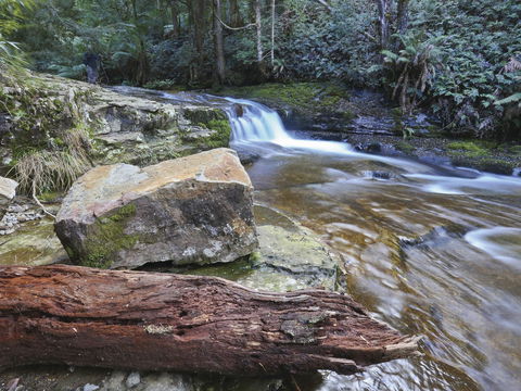 Liffey Falls Reserve - C Tourism 0