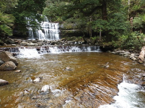 Liffey Falls Reserve - C Tourism 1