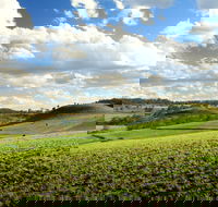 Lions Park Hodgson Vale - C Tourism