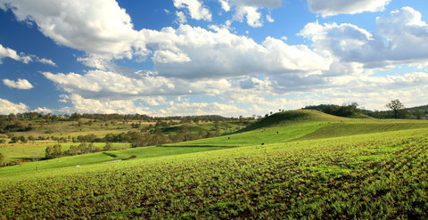 Lions Park, Hodgson Vale - C Tourism 0