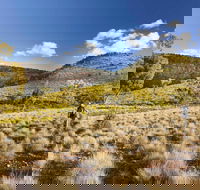 Little Mountain Walking Track - C Tourism