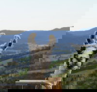 Llama Walks Tasmania - C Tourism