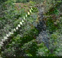 Mapleton - C Tourism