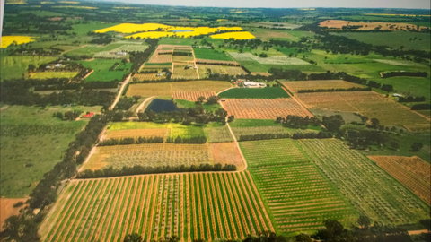 Martin's Orchard - C Tourism 2