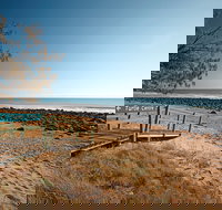 Mon Repos Beach - C Tourism