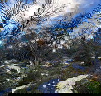 Mount Torbreck Summit Walk - C Tourism