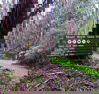 Mount Worth State Park - C Tourism