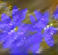 Mount Madden Scenic Drive - C Tourism