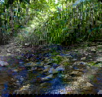 Nambucca Valley - C Tourism