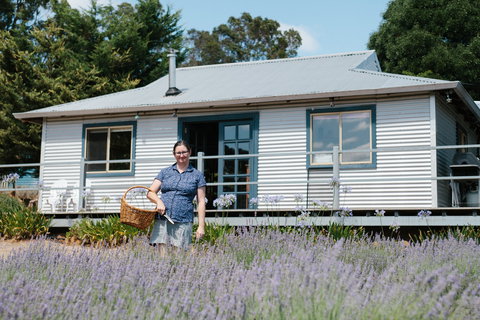 Nannup Lavender Farm - C Tourism 1