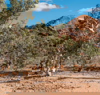 Old Coach Road Drive - C Tourism