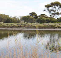 Onkaparinga River Recreation Park - C Tourism