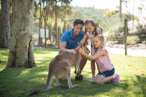 Paradise Country - C Tourism 2