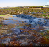 Point Danger Marine Sanctuary - C Tourism
