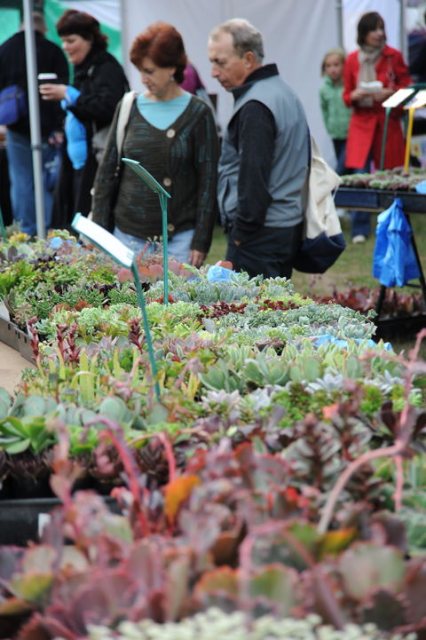 Portsea Market - C Tourism 0