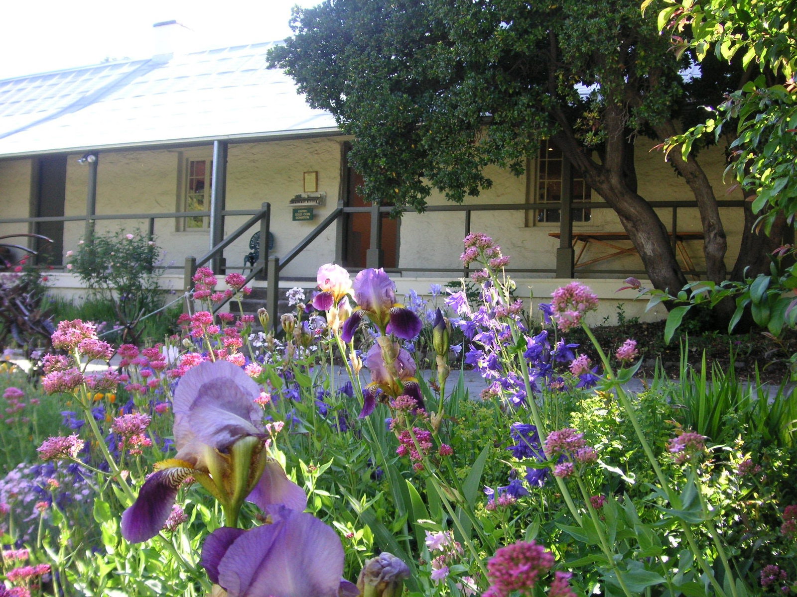 Myalla NSW C Tourism