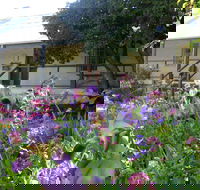 Raglan Gallery And Cultural Centre - C Tourism