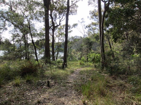 Ringlands Rotary Walk Narooma - C Tourism 2