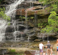 Somersby Falls Picnic Area - C Tourism